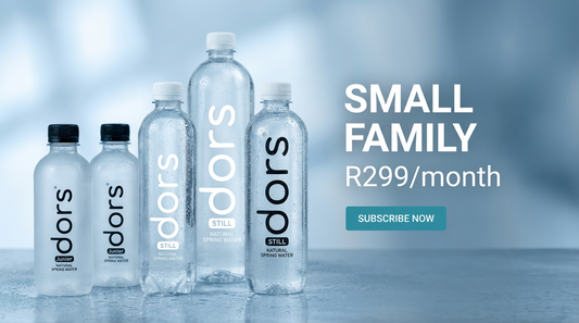 Small Family Option 1 (R299/month)